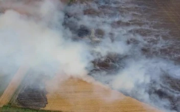 Stock Video Large Agricultural Fields Burning Smal Animated Wallpaper