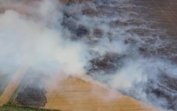 Stock Video Large Agricultural Fields Burning Animated Wallpaper