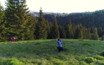 Stock Video Mother Photographing Her Daughters In Natur Animated Wallpaper