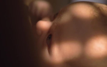 Stock Video Mother Feeding Her Young Chil Animated Wallpaper