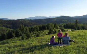 Stock Video Mother And Her Children In A Picni Animated Wallpaper