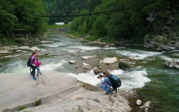 Stock Video Mother And Daughters For A Walk In The Fores Animated Wallpaper