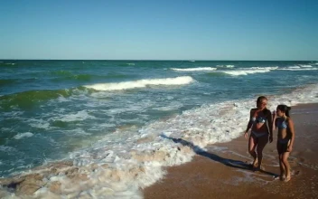 Stock Video Mother And Daughter Talk And Walk On The Seashor Animated Wallpaper