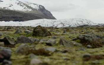 Stock Video Moss Covered Rocks By A Glacie Animated Wallpaper