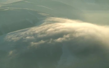 Stock Video Morning Fog In The Mountain Animated Wallpaper