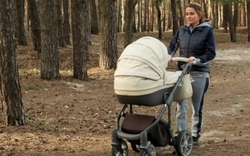 Stock Video Mom Strolling Her Baby In A Stroller In The Fores Animated Wallpaper