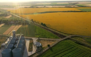 Stock Video Modern Grain Silos In The Fiel Animated Wallpaper