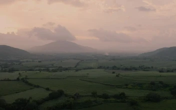 Stock Video Misty Sunrise Over Green Field Animated Wallpaper
