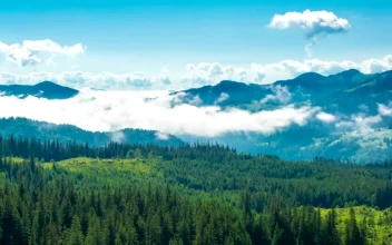 Stock Video Misty Morning In The Mountains Time Laps Animated Wallpaper