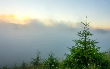 Stock Video Misty Morning In The Mountain Time Laps Animated Wallpaper