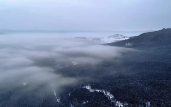 Stock Video Misty Clouds Forming Over A Winter Fores Animated Wallpaper