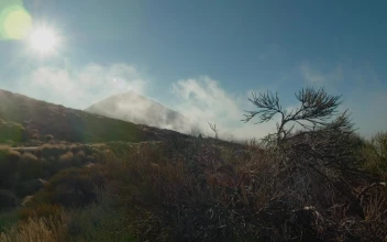 Stock Video Mist Covering The Side Of A Hil Animated Wallpaper