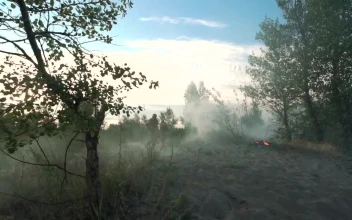 Stock Video Military Men Covering Ground In The Battlefiel Animated Wallpaper