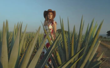 Stock Video Mexican Style Girl In A Maguey Fiel Animated Wallpaper