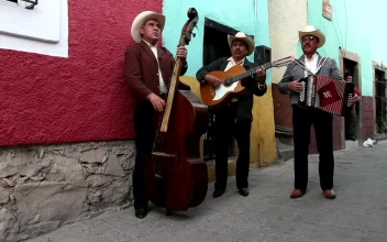Stock Video Mexican Street Musician Animated Wallpaper