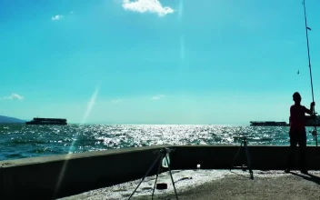 Stock Video Men Practicing Their Hobby Fishin Animated Wallpaper