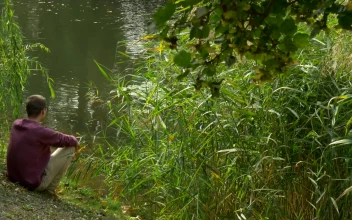 Stock Video Meditative Man Sitting On The Shore Of A Lak Animated Wallpaper