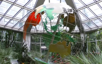 Stock Video Mechanical World Globe In A Greenhous Animated Wallpaper