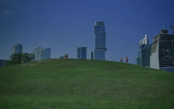 Stock Video Meadow In A Park Surrounded By A Big Cit Animated Wallpaper
