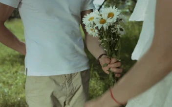 Stock Video Marriage Proposal In A Beautiful Garde Animated Wallpaper