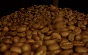 Stock Video Many Coffee Beans On A Black Backgroun Animated Wallpaper
