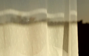 Stock Video Man With Sunglasses Looking Out Of A Hotel Windo Animated Wallpaper