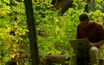 Stock Video Man With Laptop Sitting On A Fallen Tre Animated Wallpaper