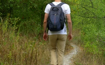 Stock Video Man With Backpack Walking On A Forest Pat Animated Wallpaper