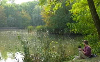 Stock Video Man With A Book Sitting By The Riversid Animated Wallpaper