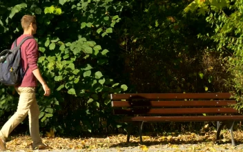 Stock Video Man With A Backpack On A Park Bench Takes Ou Animated Wallpaper