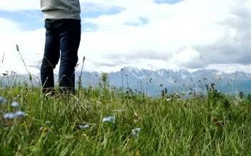 Stock Video Man Using Mobile Gps In Mountain Meado Animated Wallpaper