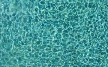 Stock Video Man Swimming Underwater In A Poo Animated Wallpaper