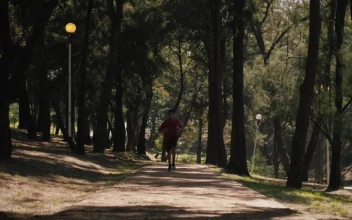 Stock Video Man Running On Trail In The Par Animated Wallpaper
