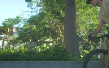 Stock Video Man Riding A Bicycle In A Par Animated Wallpaper