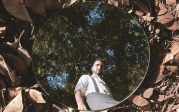Stock Video Man Reflected In A Mirror On Dry Leave Animated Wallpaper
