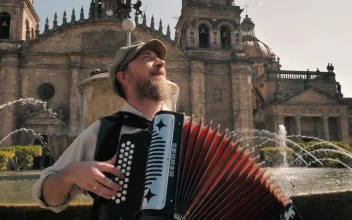 Stock Video Man Plays An Accordion In Front Of A Fountain An Animated Wallpaper