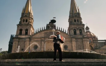 Stock Video Man Plays An Accordion In Front Of A Fountai Animated Wallpaper