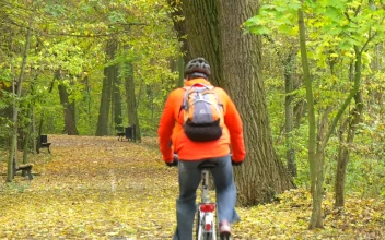 Stock Video Man Pedaling Through The Park In Autum Animated Wallpaper