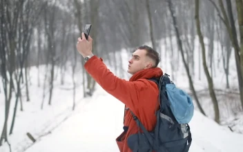 Stock Video Man Lost In Forest Looking For Cell Signa Animated Wallpaper