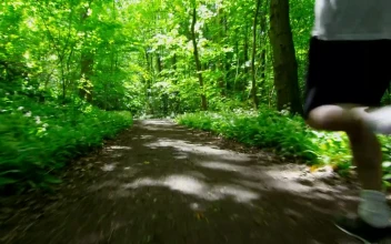 Stock Video Man Jogging Through Woodland Tracking Sho Animated Wallpaper