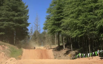 Stock Video Motorcycles Jumping Down Ramps In Nature