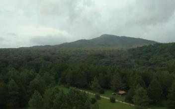 Stock Video Mountain Covered By A Large Forest Seen From Above