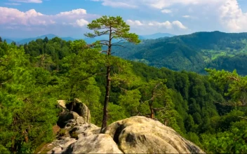 Stock Video Mountain Landscape With A Big Stone