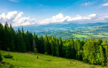 Stock Video Mountain Landscape With Forest And A Valley