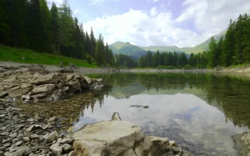 Stock Video Mountainous Area Seen From A Pond Landscape