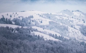 Stock Video Mountainous Forest In Winter Seen From Afar