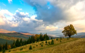 Stock Video Mountains And Forest On A Cloudy Day