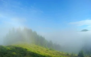 Stock Video Mountains And Forest With Morning Mist