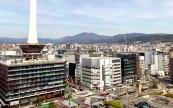 Stock Video Movement In A City Seen From Above