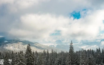Stock Video Moving Clouds Over A Snowy Wooded Landscape
